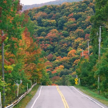 Fall colours